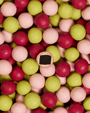 Load image into Gallery viewer, CELEBRATION STRAWBERRY SYMPHONY | 515G