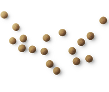 Load image into Gallery viewer, A - THE ORIGINAL | Regular 270g