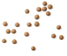 Load image into Gallery viewer, D - SALT & CARAMEL | Small 115g